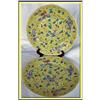 Image 1 : PR JIAQING CHINESE EXPORT BUTTERFLY PLATE 18C #1067631