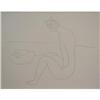 Image 1 : Picasso   Les Dessins DAntibes #1074735