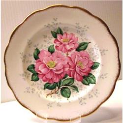 Queen Anne Plate CAMELLIA #1074825