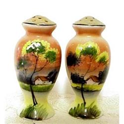 Noritake Style Salt&Pepper #1074876