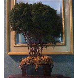 Flower Arrangement #1074931