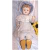 Image 1 : 28" Amberg/Simon Halbig Composition Walker Doll#1074971