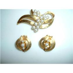 Beautiful Goldtone Pin and Earring Set #1075192