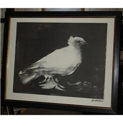 Original Pablo Picasso White Bird Lithograph #1075208