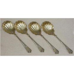 Shell Spoons SKU 5043 #1076333