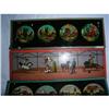 Image 1 : Magic Lantern Glass Slides #1076419