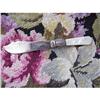Image 1 : Lustrous Mother of Pearl Fancy Butter Knife #1076963