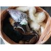 Image 2 : Bin of Fur Related Items