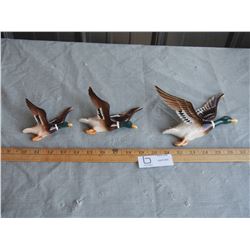 3 Wall Hanging Duck Ornaments