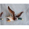 Image 4 : 3 Wall Hanging Duck Ornaments