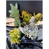 Image 1 : "Make Your Own Bowl of Succulents": 4 Plants in 3 & 4" Pots