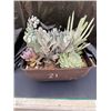 Image 1 : Mixed Succulent Container Garden