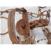 Image 3 : 3 Vintage Animal Traps
