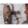 Image 4 : 3 Vintage Animal Traps
