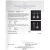 Image 3 : 0.60 ctw Diamond Earrings - 14KT White Gold