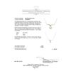 Image 3 : 1.0 ctw Diamond Necklace - 14KT White Gold