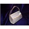 Image 1 : Lucite Handbag #1042261