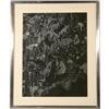 Image 1 : Ruth Mollo Framed White Ink Drawing on Paper #1051492