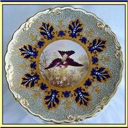 COALPORT CABINET PLATE HANDPAINTED BIRD #1060061