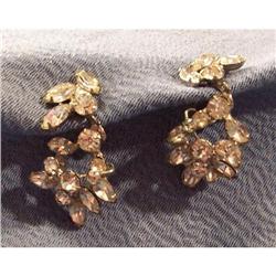 Exquisite Rhinestone Earrings #1088142
