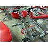Image 1 : STAR TRAC RED & GREY BACK EXTENSION BENCH