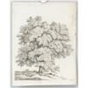 Image 2 : Signed Goyer Graphite on Paper Tree