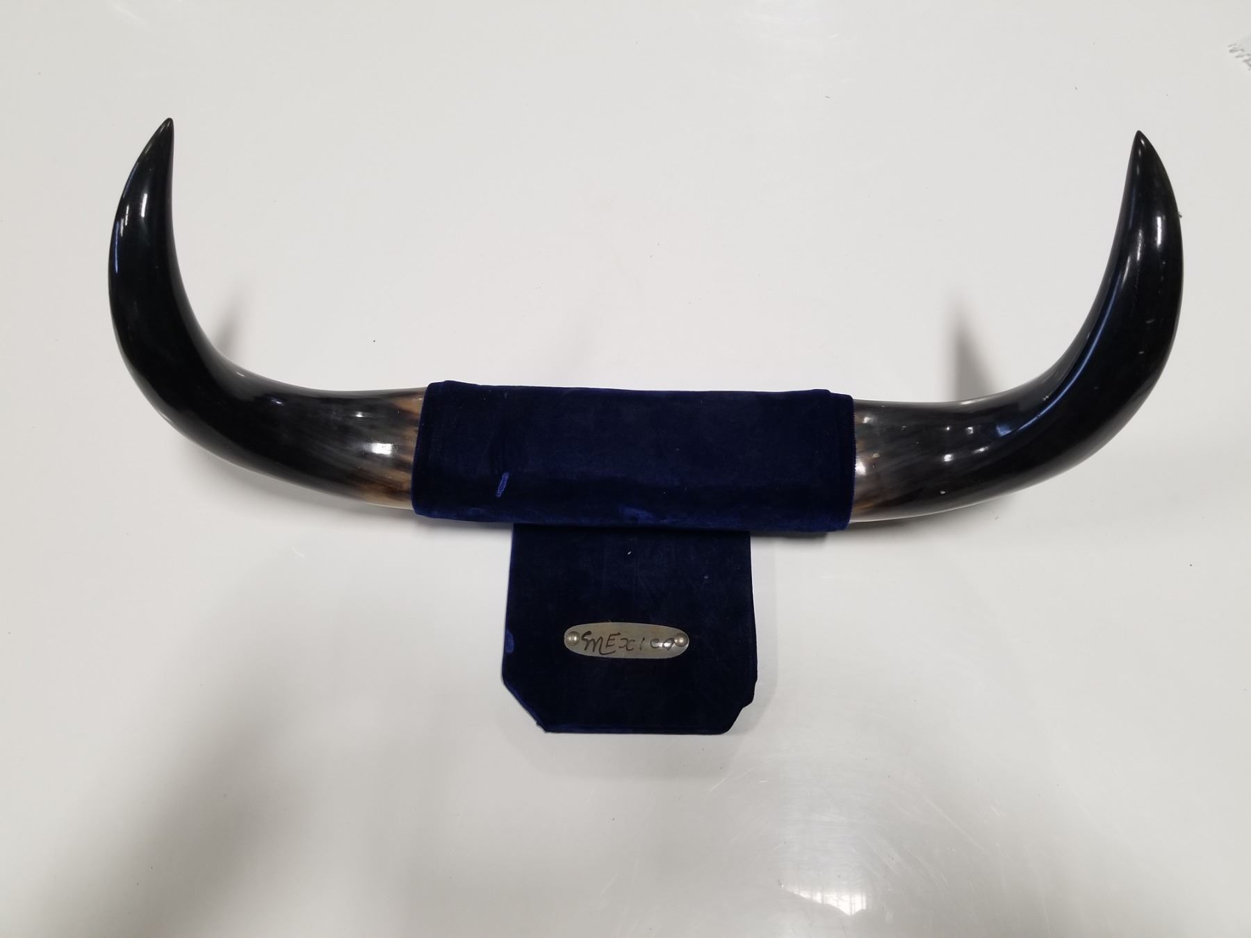 Vintage Mexico Wall Mount Bull Horns