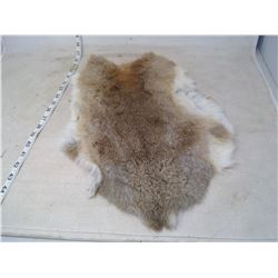 BROWN RABBIT PELT