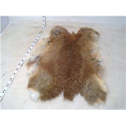 BROWN RABBIT PELT