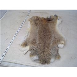 BROWN RABBIT PELT