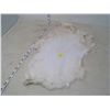 Image 2 : WHITE RABBIT PELT
