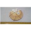 Image 2 : GENUINE 7" DIAMETER SCALLOP SEA SHELLS (5) FOR GOURMET TABLE PRESENTATION OF SEA FOOD