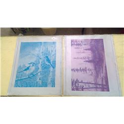 2 TIN LINOGRAPH PRINTS 21"X25.5"