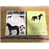 Image 2 : COFFEE TABLE HORSE BOOKS