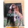 Image 4 : BOX OF HORSE+ HORSE TRAINING BOOKS