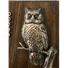 Image 3 : COPPER OWL PICTURE