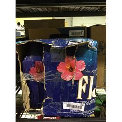 Case of Fiji Natural Spring Water