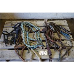 Horse breast straps, nose strap, 3 halters, set of spurs