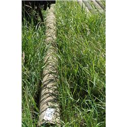 Corral post 16' treated