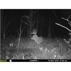 TEST ITEM NUMBER ONE