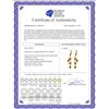 Image 2 : Genuine 4.95 ctw Citrine Earrings 14KT Yellow Gold - REF-53K8V