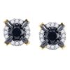 Image 1 : 1 CTW Round Black Color Enhanced Diamond Stud Earrings 10kt Yellow Gold - REF-27N5Y