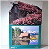 Image 1 : 6)  LOT OF 2 FACTORY SEALED 500 PCE PUZZLES