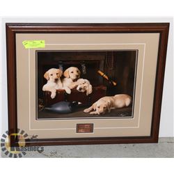 DUCKS UNLIMITED FRAMED PICTURE "PARDON ME"