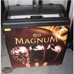 MAGNUM ICE CREAM COOLER & CONTENTS