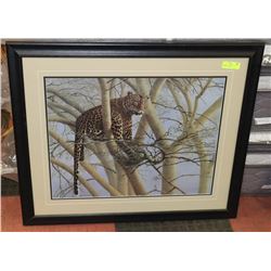 LEOPARD IN  TREE ART BY JOAN SHARROCK  # 226/480