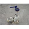 Image 1 : Schmalenberger Pump with Motor, M/N: SM50-20/2-60HZ
