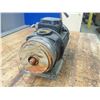 Image 3 : Grundfoss High-Pressure Pump, M/N: CH2-30