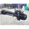 Image 2 : Brinkman Pumps, 7.4HP Coolant Pump, M/N: ZS132130-M+250