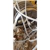 Image 2 : HYDRAULIC PRESSURE HOSE REEL